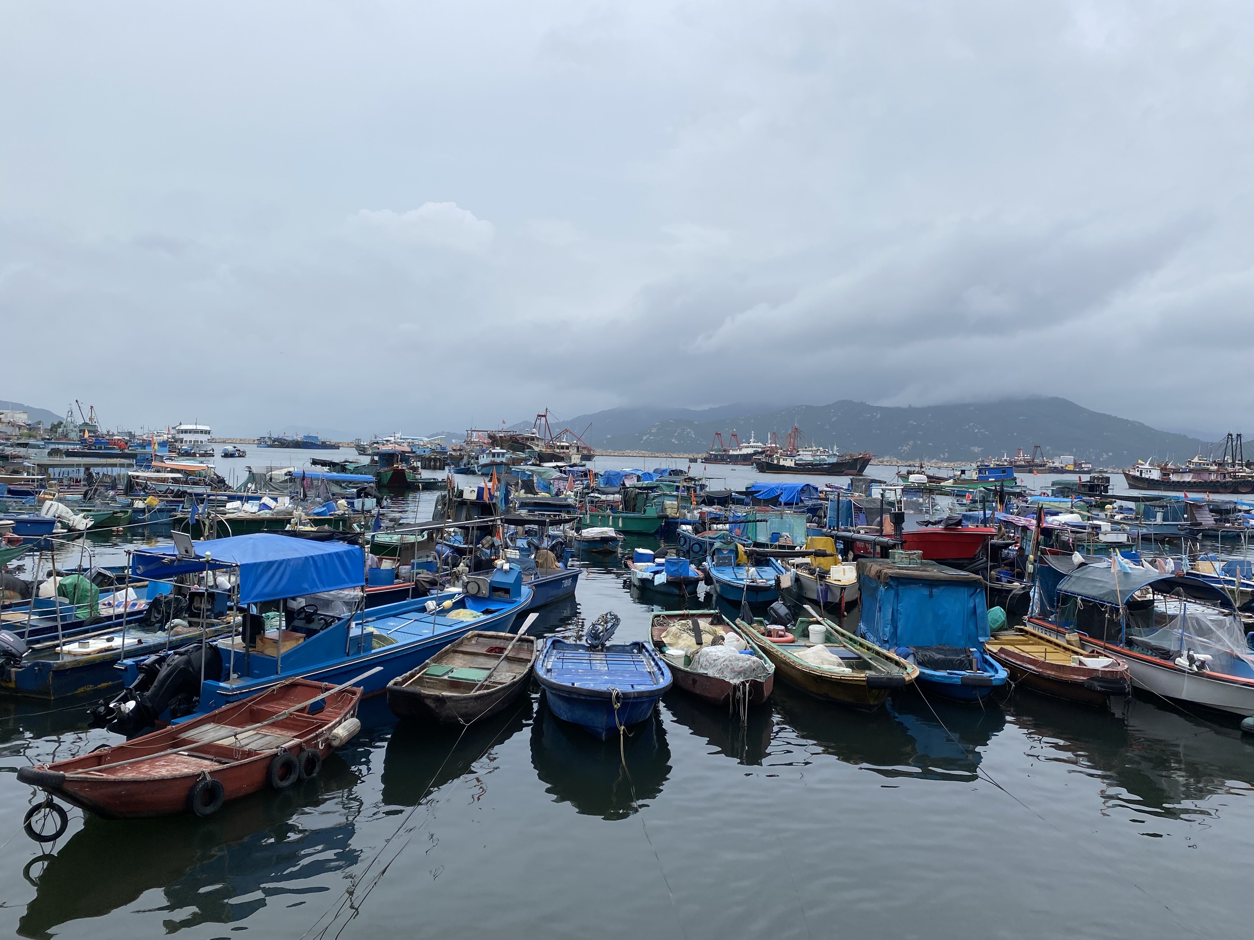 red, brown, blue, and white row boats and speed boats.  Fishing trawlers in the distance.