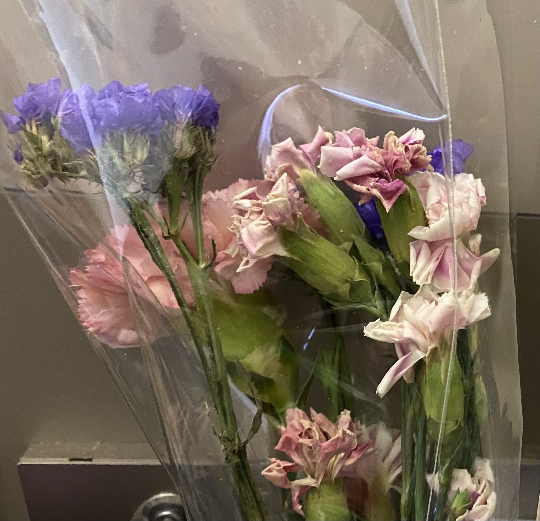 a small bouquet of carnations against the wall