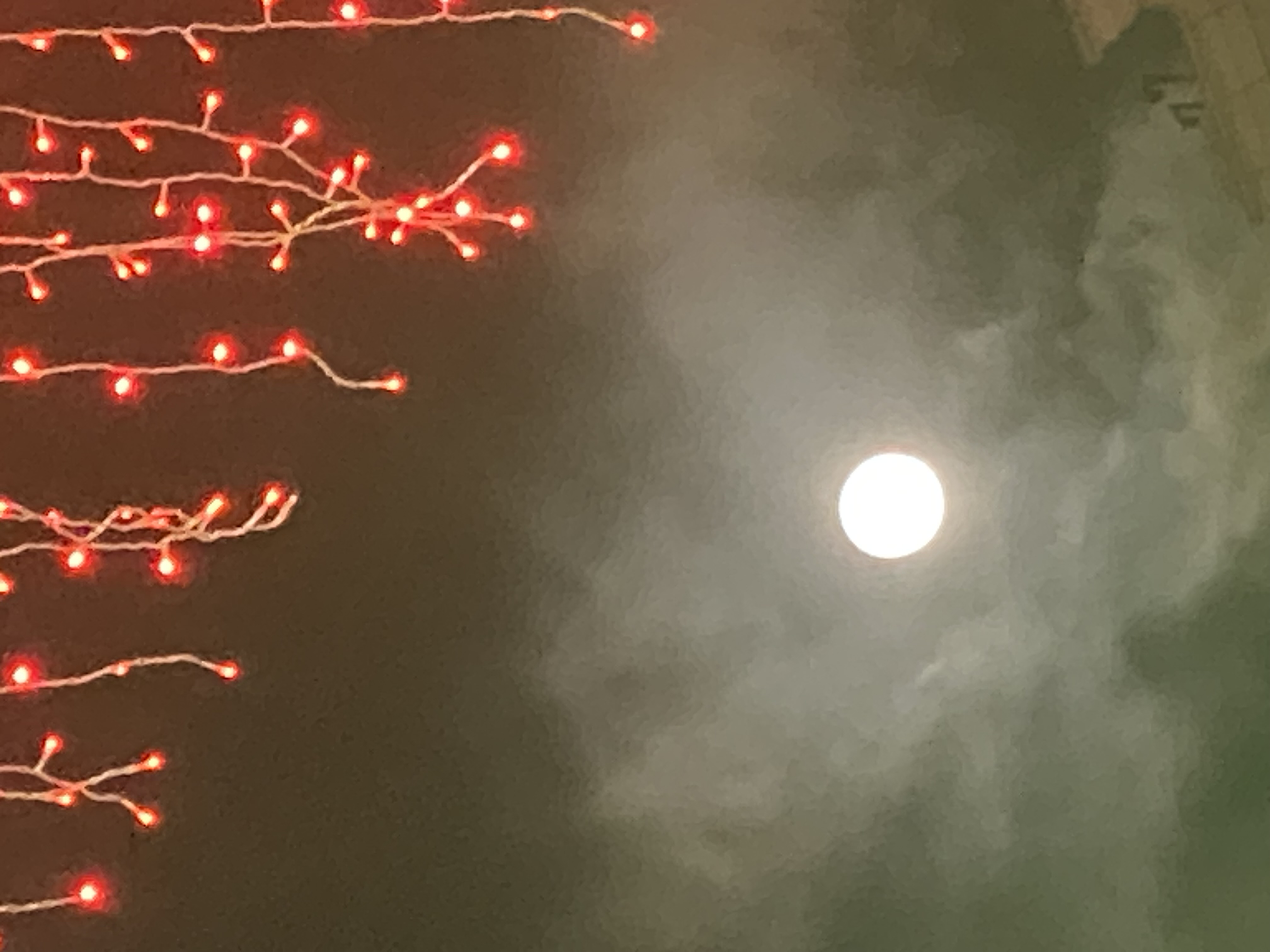 full moon under strands of red lights