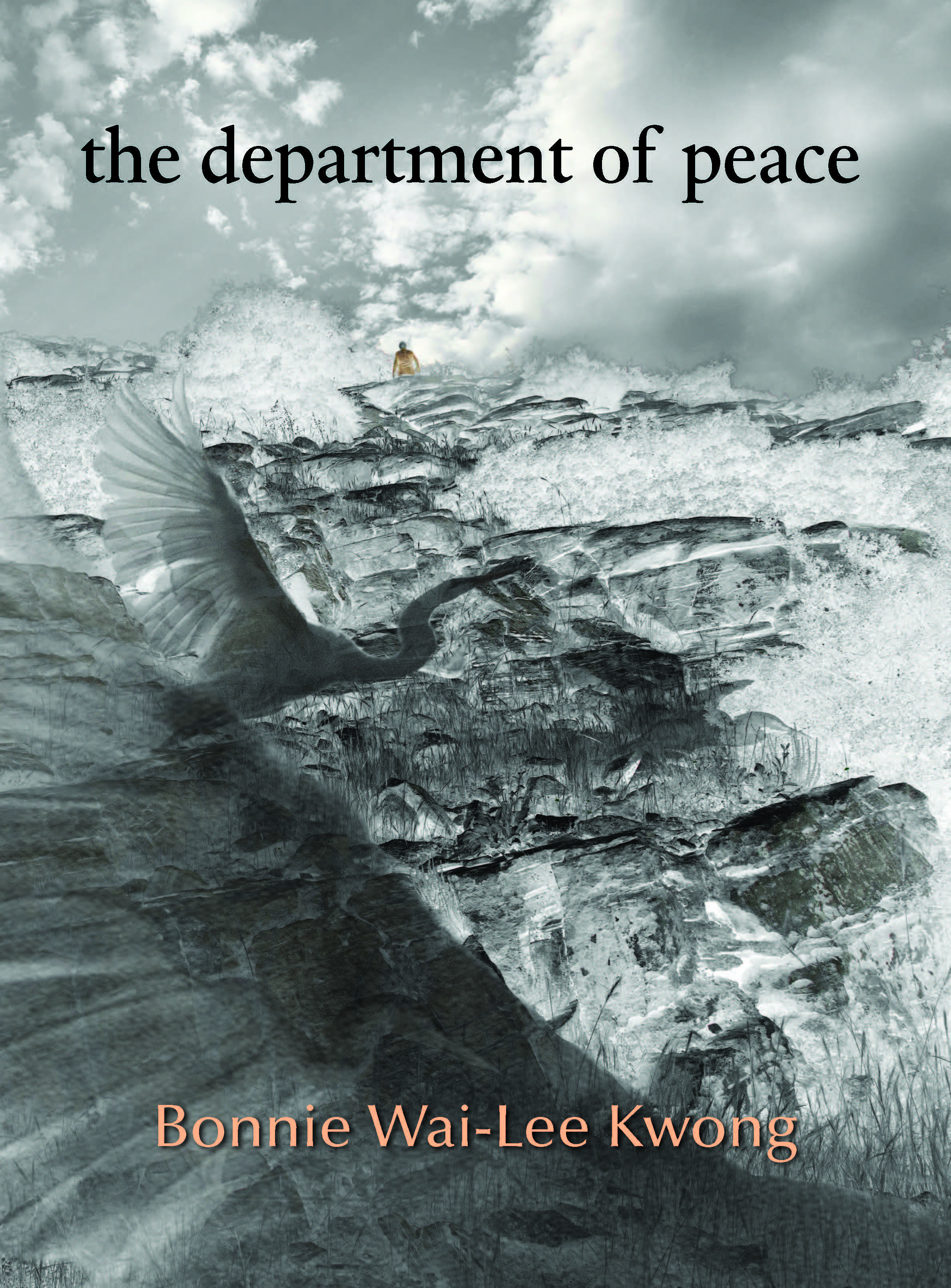 Book cover of 'the department of peace.'  Grayscale photo collage.  Silhouettes of birds and part of a large wing.  A small yellow/gold colored person walking uphill towards smoky and low-hanging to distant clouds.