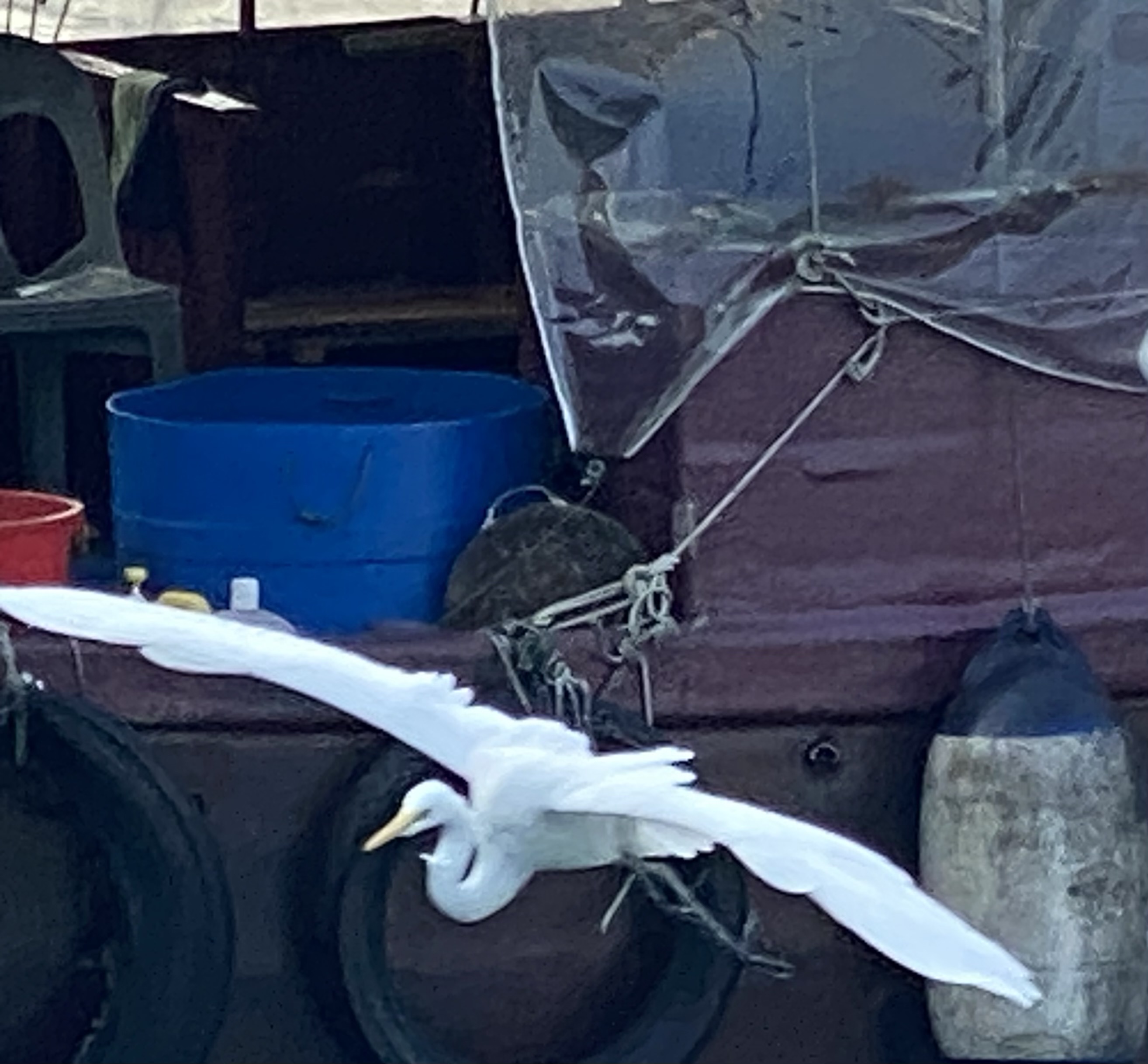 An egret with fully stretched wings and a curved neck flying away from a burgundy colored boat.