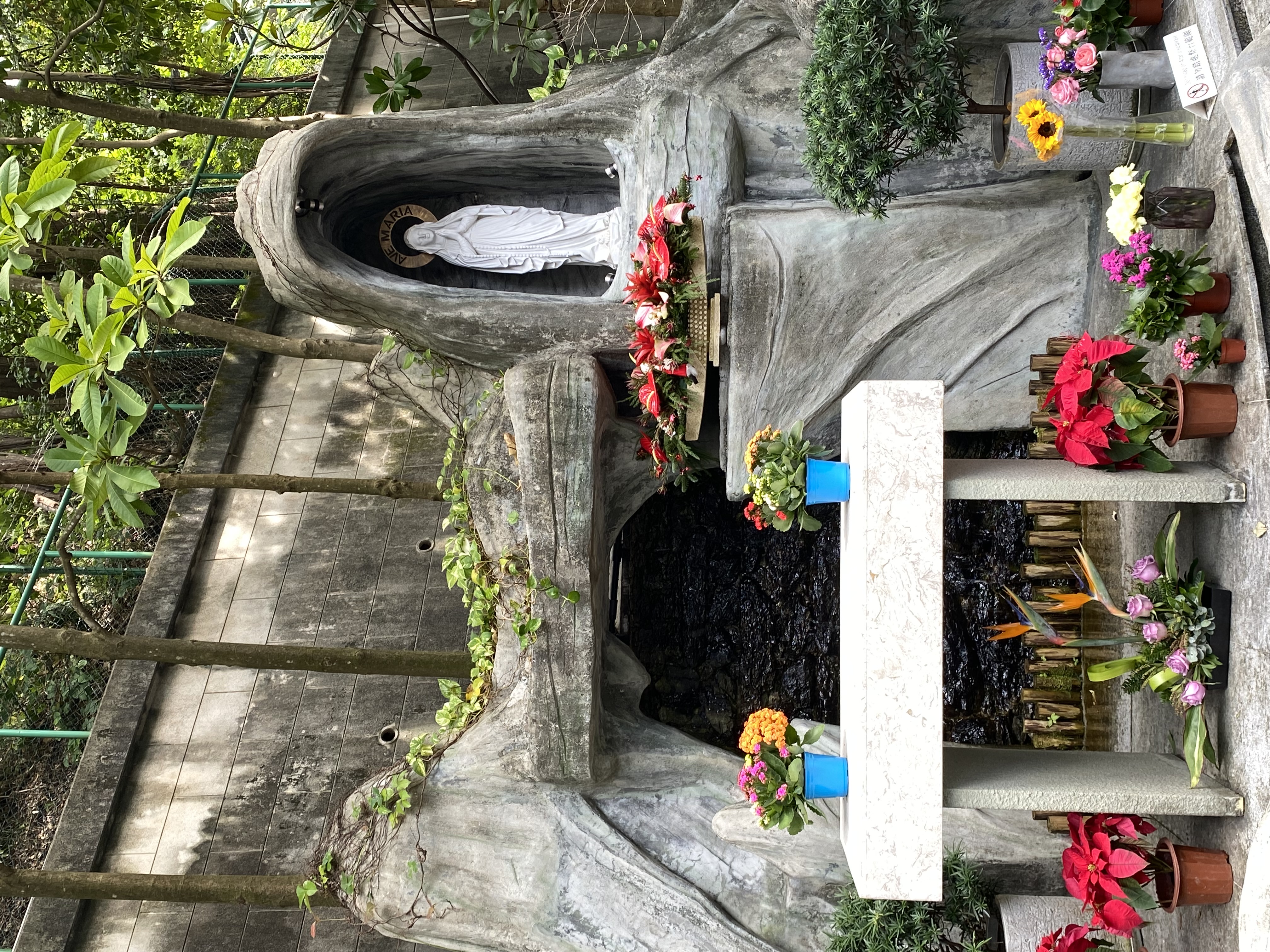 A statue of the Virgin Mary in a grotto under trees, with potted flowers in the foreground.