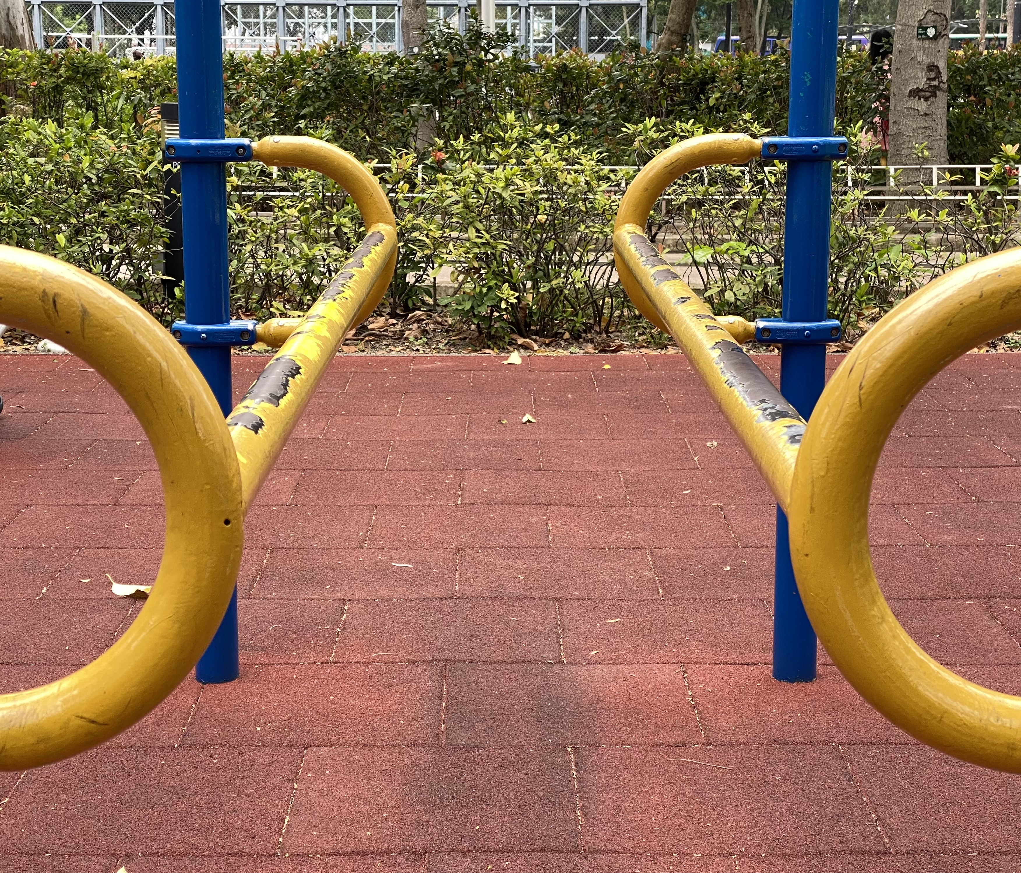 parallel bars at a park