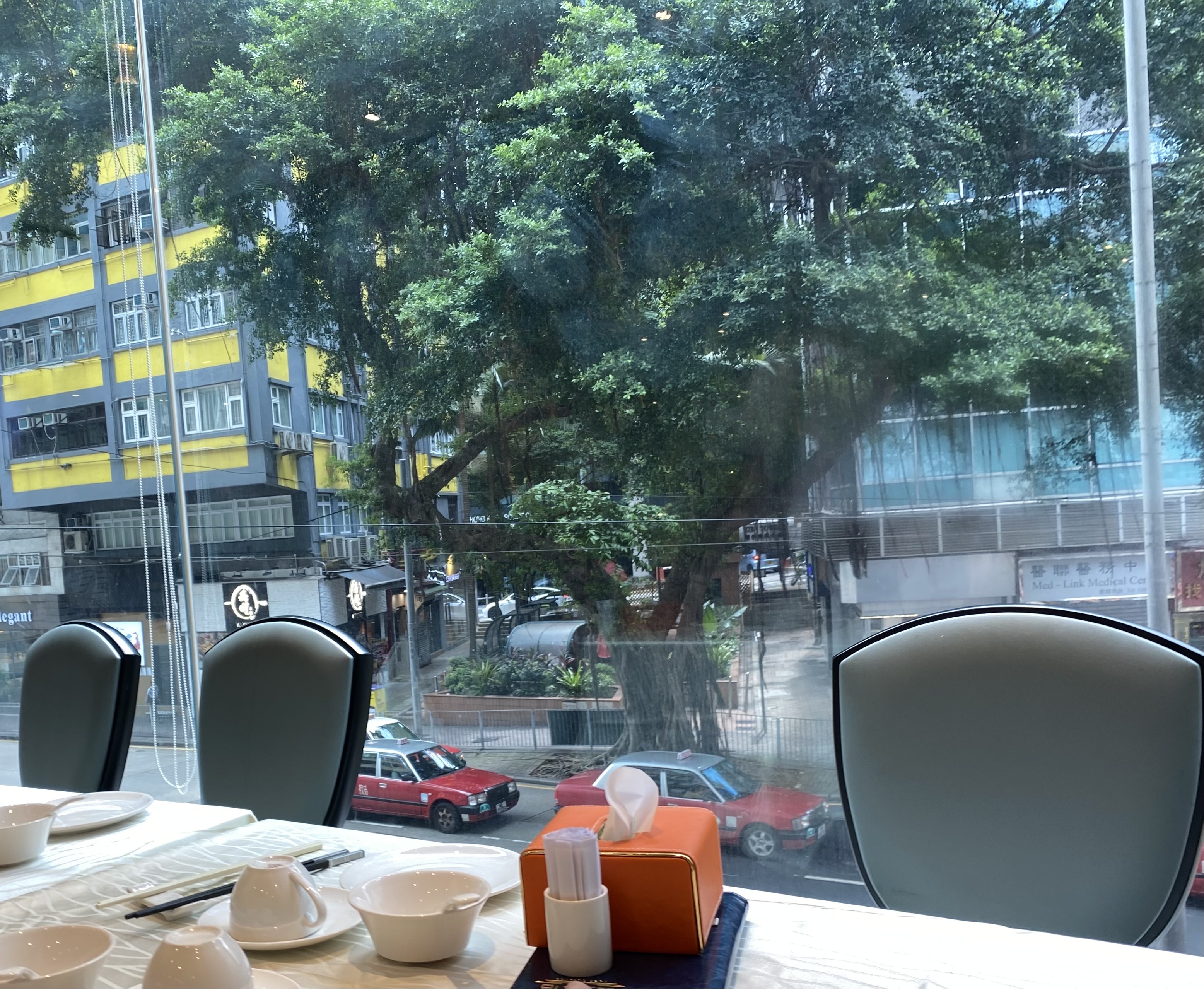 from a restaurant table, a tree across the street against a residential building with yellow panels on the left and an office building with blue curtains and grey panels on the right