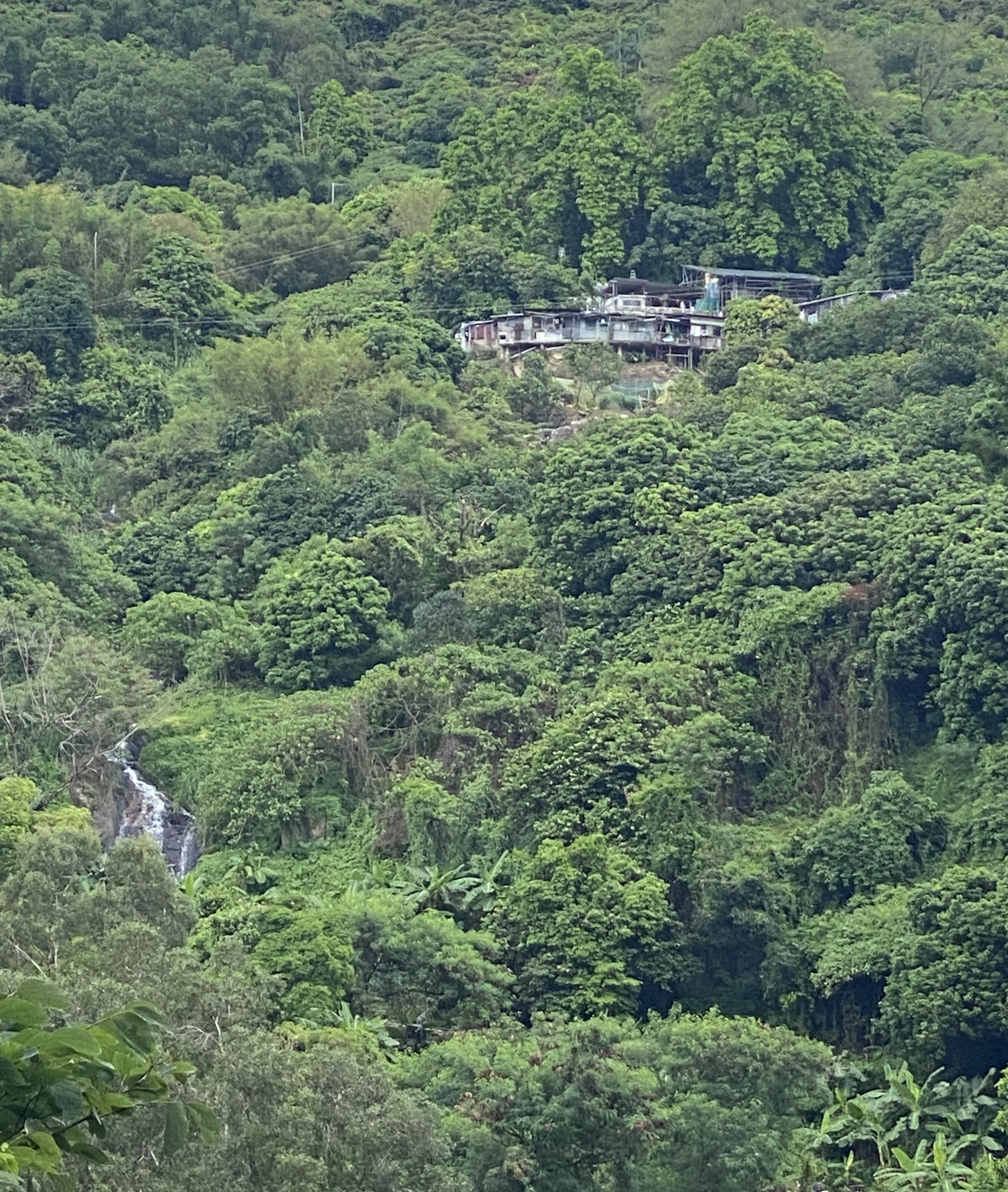 waterfall on a hillside