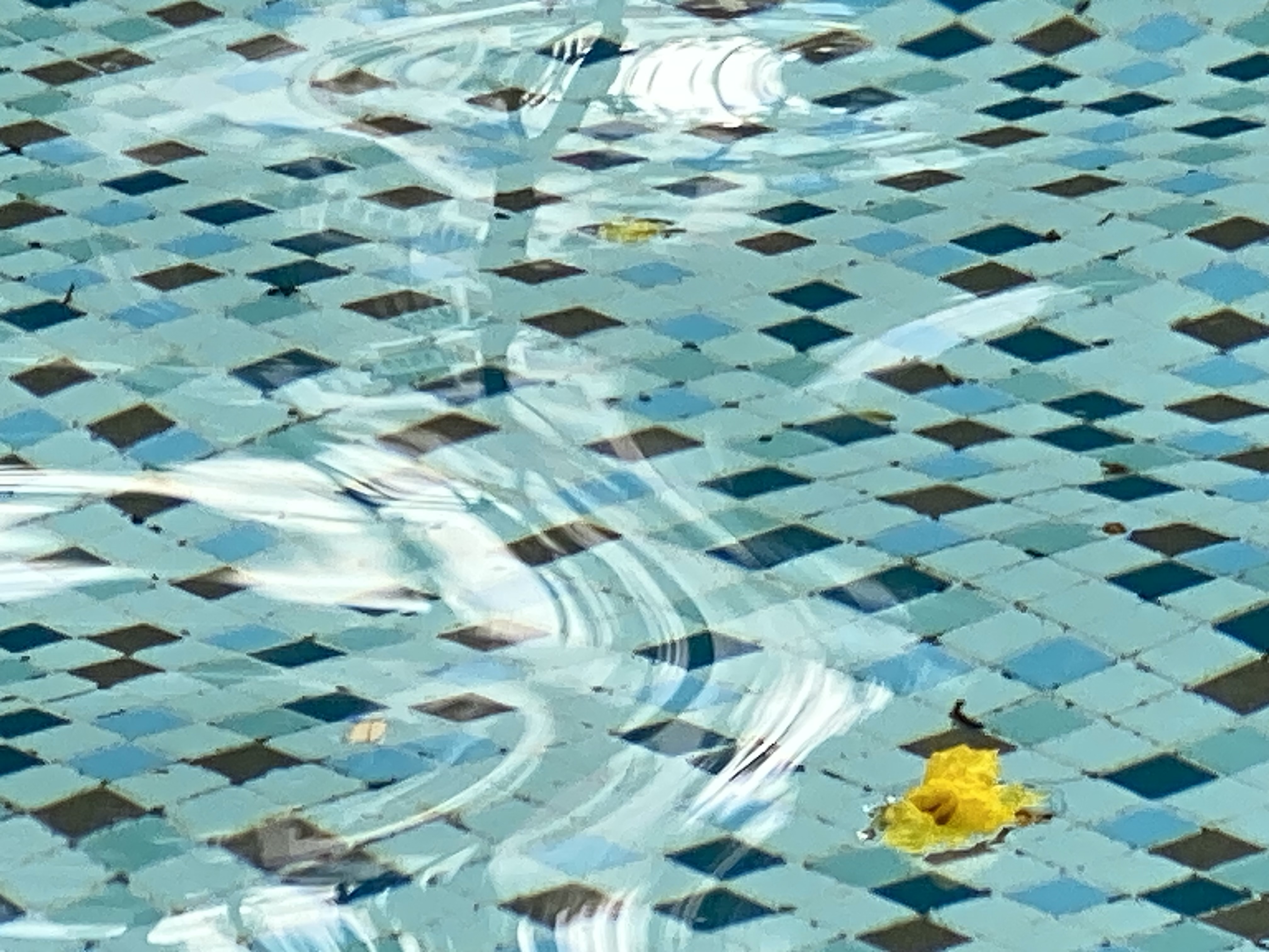 a fallen yellow blossom in a pool with light reflecting off waves